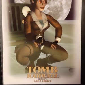 AW048 carte postale postcard lara croft tomb raider