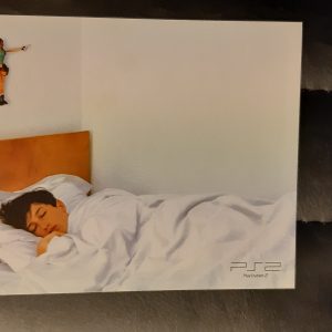 AW053 carte postale postcard lara croft tomb raider