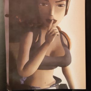 AW054 carte postale postcard lara croft tomb raider