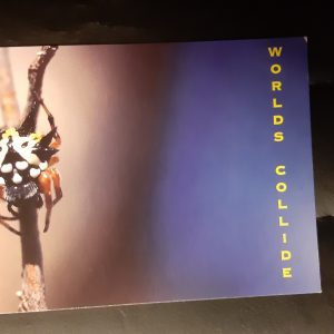 HW001 carte postale postcard araignée spider