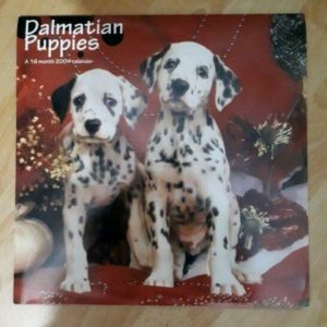 ZZ040 calendrier 2004 dalmatien