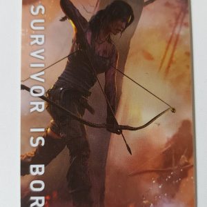 ZZ071 tomb raider a survivor is born pass